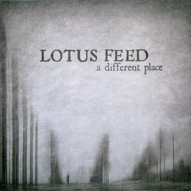 A Different Place by Lotus Feed - album cover