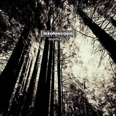 Raudivian Device (Ziguo Chen remix)