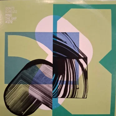 Mind the Gap #172 by Various Artists - album cover
