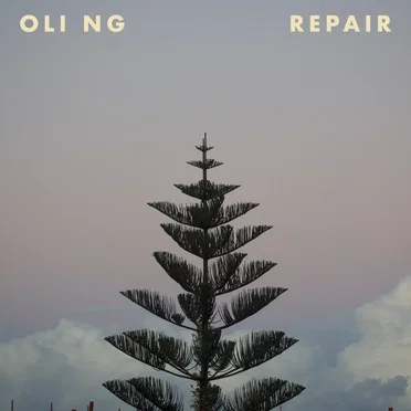 Repair