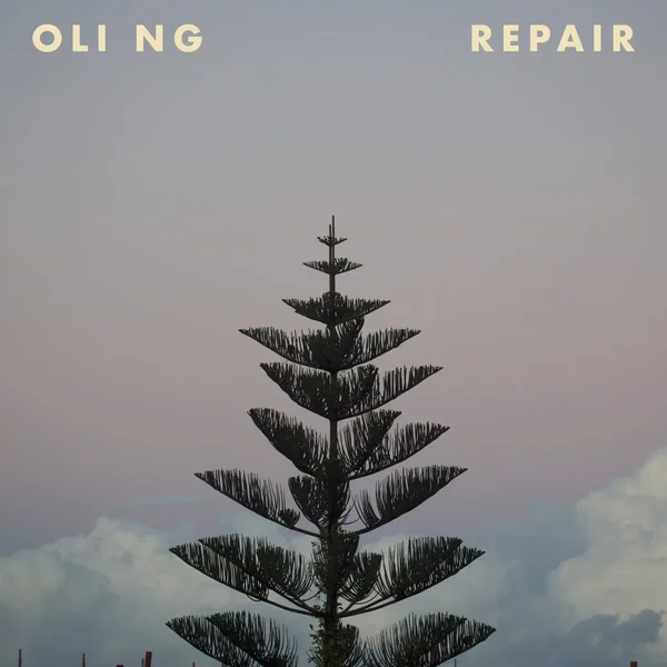 Repair