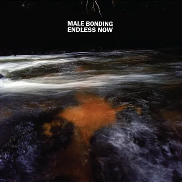 Endless Now by Male Bonding - album cover