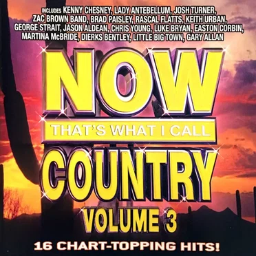 Now That’s What I Call Country, Volume 3 by Various Artists - album cover