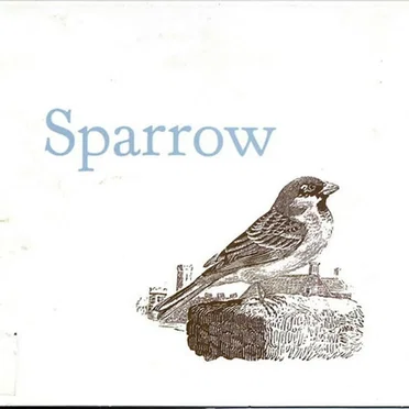 Sparrow