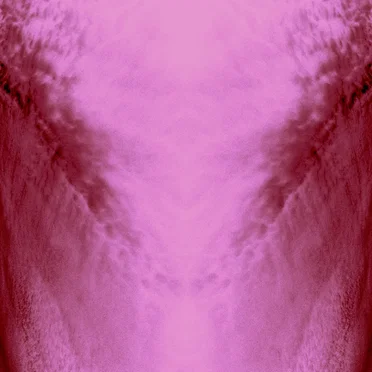 Raw Spectacle (Pantha Du Prince Remix) by Miracle Fortress - album cover