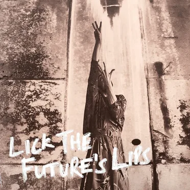 Lick The Future's Lips by The Little Unsaid - album cover