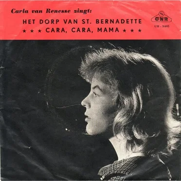 Het dorp van st. Bernadette