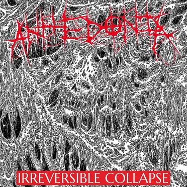 Irreversible Collapse by Anhedonia - album cover