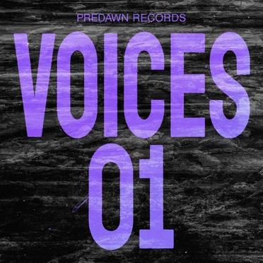 Voices 01 by Various Artists - album cover