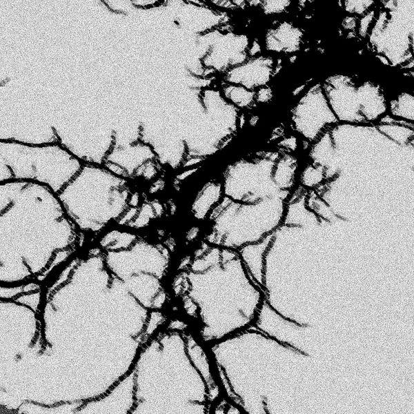 the world will never be the same