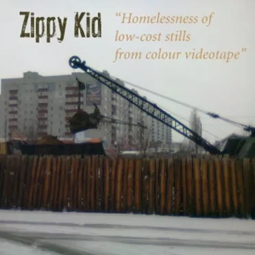 Homelessness of Low‐Cost Stills From Colour Videotape