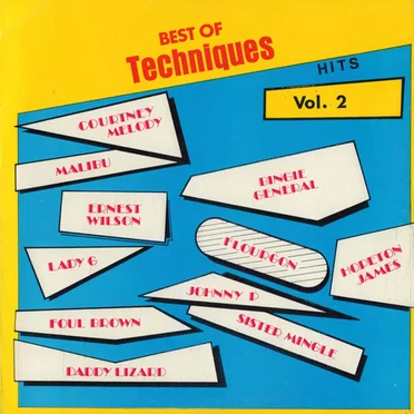 Best Of Techniques Hits Vol. 2 by Various Artists - album cover