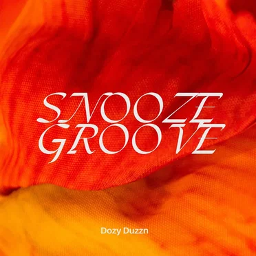 Snooze Groove by Dozy Duzzn - album cover