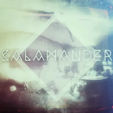 Salamander