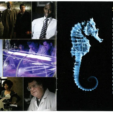 Fringe: Season 1: Original Television Soundtrack