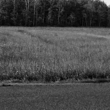 A Country Drive