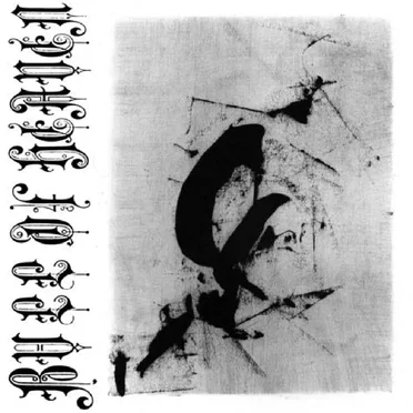 XXXVII by Bull of Heaven - album cover
