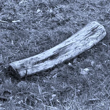 Deserted Island