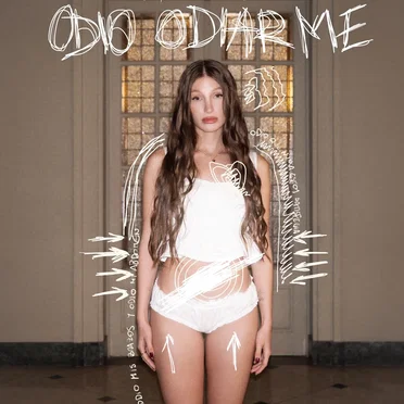 Odio Odiarme