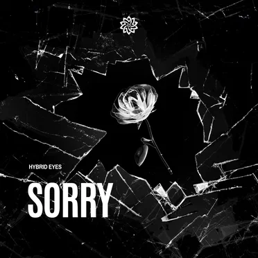 Sorry by Hybrid Eyes - album cover