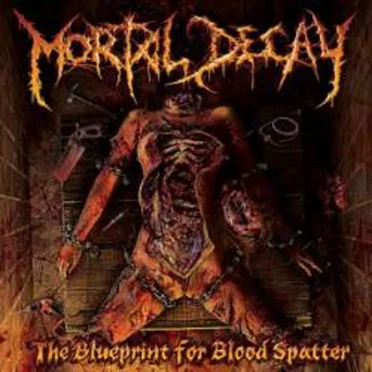 The Blueprint for Blood Spatter