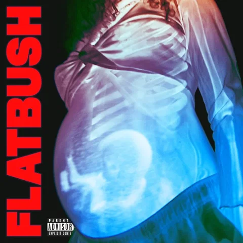 Flatbush Zombies - Bounce