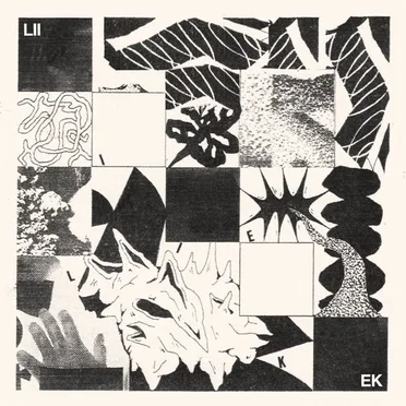 s/t by Liiek - album cover