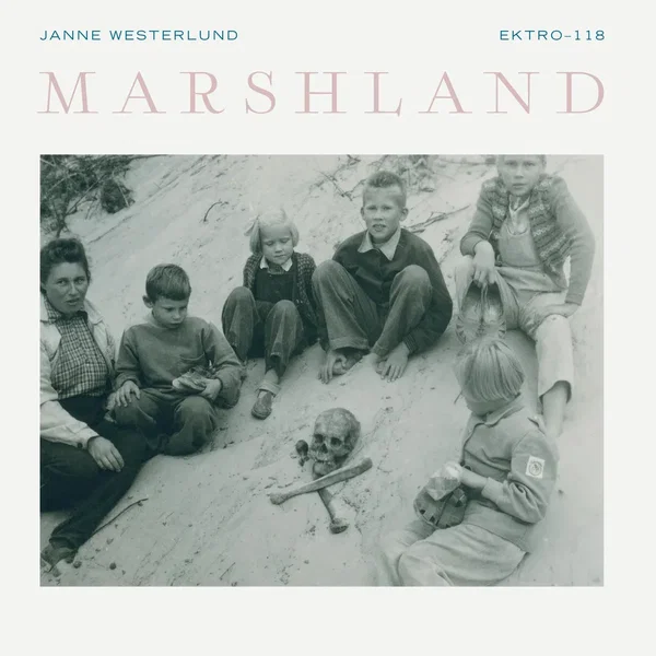 Marshland