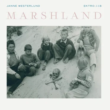 Marshland