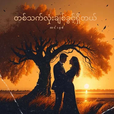 တစ်သက်လုံးချစ်ခွင့်ရှိတယ် by Linnith - album cover
