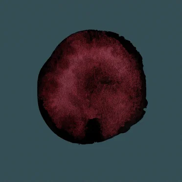 Placenta by no god only teeth - album cover