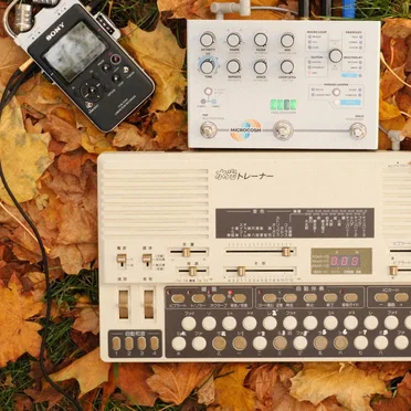 Gaze Up at the Harvest Moon