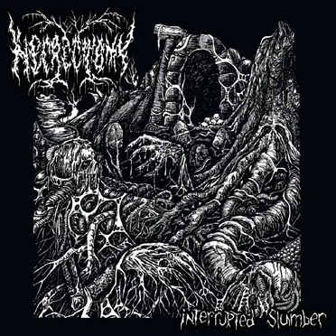 Interrupted Slumber by Necrectomy - album cover