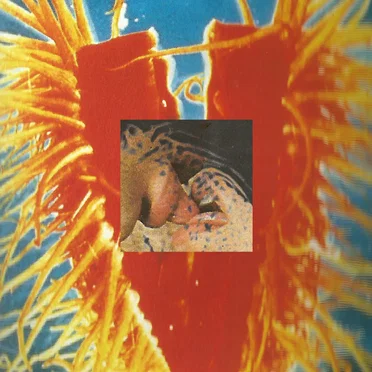 2-HEH‐V