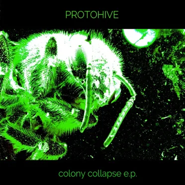 Colony Collapse E.P. by Protohive - album cover