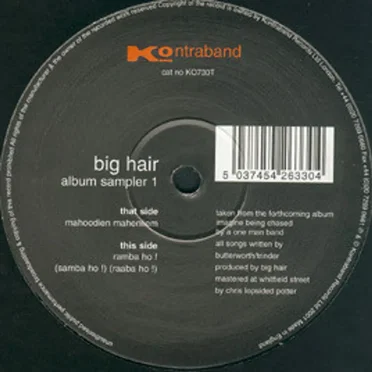 Album Sampler 1 by Big Hair - album cover