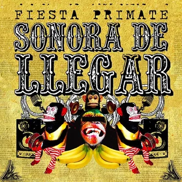 Fiesta primate
