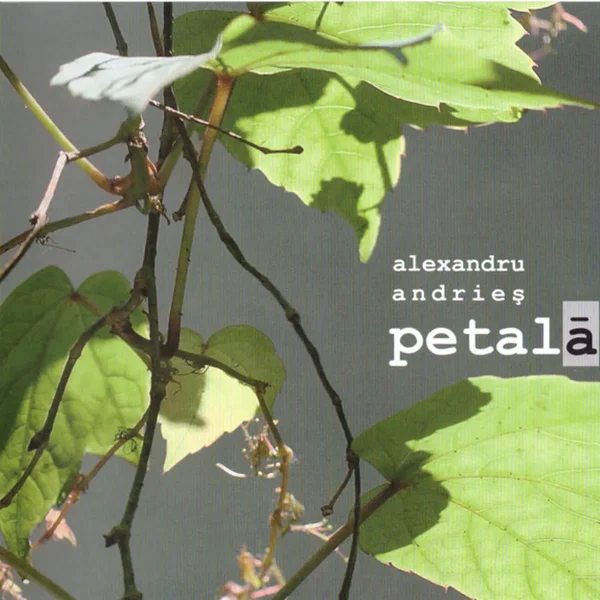 Petală