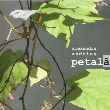 Petală