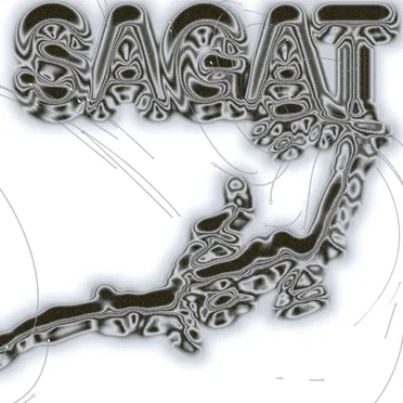Silver Lining by Sagat - album cover