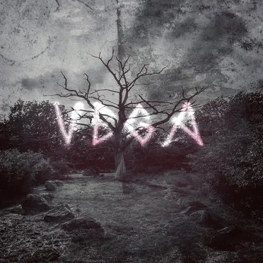 Vega by Danheim - album cover