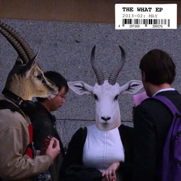 The What EP 2013-02: May by Various Artists - album cover