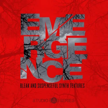Emergence