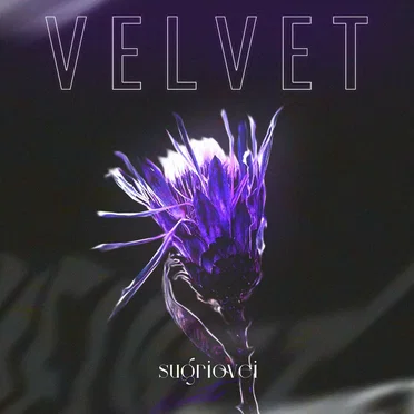 Sugriovei by Velvet - album cover