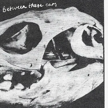 Between These Ears by Moreish Idols - album cover