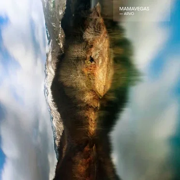 Arvo by Mamavegas - album cover