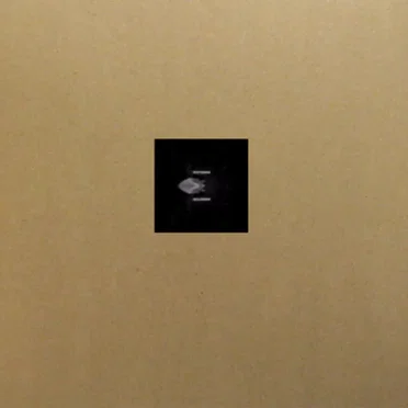Inchoate With The Light Go I by He Was Eaten by Owls - album cover