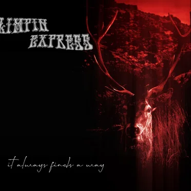 It Always Finds a Way by Limpin Express - album cover