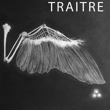 Dors bien by Traitre - album cover