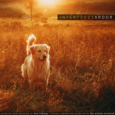 INTENT2021: Ardor by Various Artists - album cover